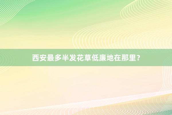 西安最多半发花草低廉地在那里？